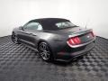 Magnetic - Mustang EcoBoost Premium Convertible Photo No. 13