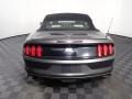 Magnetic - Mustang EcoBoost Premium Convertible Photo No. 14