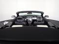 Magnetic - Mustang EcoBoost Premium Convertible Photo No. 15