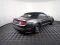 Magnetic - Mustang EcoBoost Premium Convertible Photo No. 18