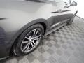 Magnetic - Mustang EcoBoost Premium Convertible Photo No. 20