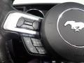 Magnetic - Mustang EcoBoost Premium Convertible Photo No. 34