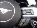 Magnetic - Mustang EcoBoost Premium Convertible Photo No. 35