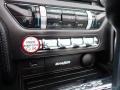 Magnetic - Mustang EcoBoost Premium Convertible Photo No. 38