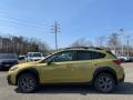 Plasma Yellow Pearl - Crosstrek Sport Photo No. 4