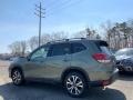 Jasper Green Metallic - Forester 2.5i Limited Photo No. 6