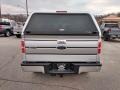 Ingot Silver Metallic - F150 XL Regular Cab Photo No. 7