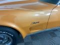 1973 Orange Chevrolet Corvette Coupe  photo #9