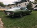 Verdoro Green - GTO Hardtop Photo No. 10