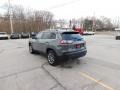 Sting-Gray - Cherokee Latitude Lux 4x4 Photo No. 9