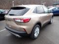 Desert Gold Metallic - Escape SE 4WD Photo No. 2