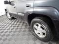 2005 Graystone Metallic Chevrolet TrailBlazer LS  photo #9