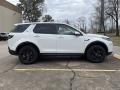 Fuji White - Discovery Sport S Photo No. 8