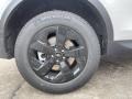 Fuji White - Discovery Sport S Photo No. 12