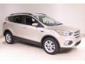 White Gold 2018 Ford Escape SE 4WD