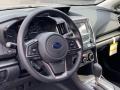 Magnetite Gray Metallic - Crosstrek  Photo No. 12
