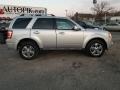 Ingot Silver Metallic - Escape Limited V6 4WD Photo No. 2