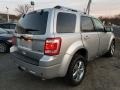 Ingot Silver Metallic - Escape Limited V6 4WD Photo No. 3