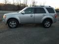 Ingot Silver Metallic - Escape Limited V6 4WD Photo No. 6
