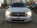 Ingot Silver Metallic - Escape Limited V6 4WD Photo No. 8