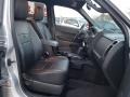 Ingot Silver Metallic - Escape Limited V6 4WD Photo No. 12