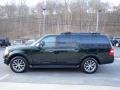 Green Gem Metallic - Expedition XLT 4x4 Photo No. 6