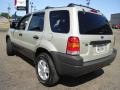 2004 Gold Ash Metallic Ford Escape XLT V6 4WD  photo #2