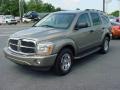 Light Khaki Metallic - Durango Limited 4x4 Photo No. 3