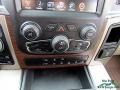 Canyon Brown/Light Frost Controls Photo for 2015 Ram 1500 #141387913