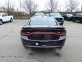 Hellraisin - Charger SXT AWD Photo No. 6