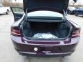 Hellraisin - Charger SXT AWD Photo No. 7
