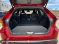 Ruby Flare Pearl - Venza Hybrid Limited AWD Photo No. 34