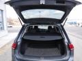 Platinum Gray Metallic - Tiguan SE 4MOTION Photo No. 28