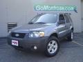 Tungsten Grey Metallic - Escape XLT Photo No. 1