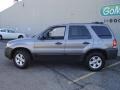 Tungsten Grey Metallic - Escape XLT Photo No. 2