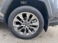 2021 Magnetic Gray Metallic Toyota RAV4 XLE Premium AWD  photo #33