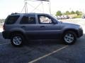 Tungsten Grey Metallic - Escape XLT Photo No. 13