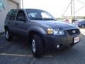 Tungsten Grey Metallic - Escape XLT Photo No. 18