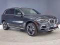 Dark Graphite Metallic - X5 xDrive40i Photo No. 27