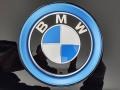 2021 BMW i3 w/Range Extender Badge and Logo Photo