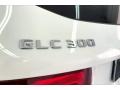 Polar White - GLC 300 Photo No. 31