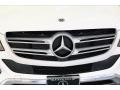 Polar White - GLE 350 Photo No. 30