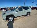 Lunar Rock - RAV4 XLE AWD Hybrid Photo No. 1