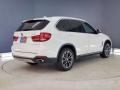 Alpine White - X5 sDrive35i Photo No. 5