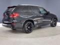 Black Sapphire Metallic - X5 sDrive35i Photo No. 5