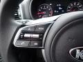 Steel Gray - Sportage LX AWD Photo No. 19