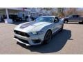 Fighter Jet Gray - Mustang Mach 1 Photo No. 3