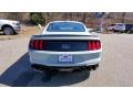 Fighter Jet Gray - Mustang Mach 1 Photo No. 6