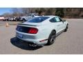 Fighter Jet Gray - Mustang Mach 1 Photo No. 7