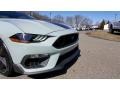 Fighter Jet Gray - Mustang Mach 1 Photo No. 27